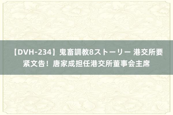 【DVH-234】鬼畜調教8ストーリー 港交所要紧文告！唐家成担任港交所董事会主席