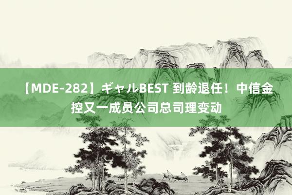 【MDE-282】ギャルBEST 到龄退任！中信金控又一成员公司总司理变动