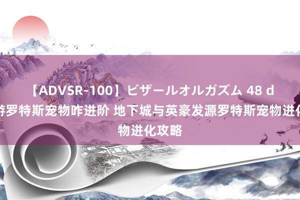 【ADVSR-100】ビザールオルガズム 48 dnf手游罗特斯宠物咋进阶 地下城与英豪发源罗特斯宠物进化攻略