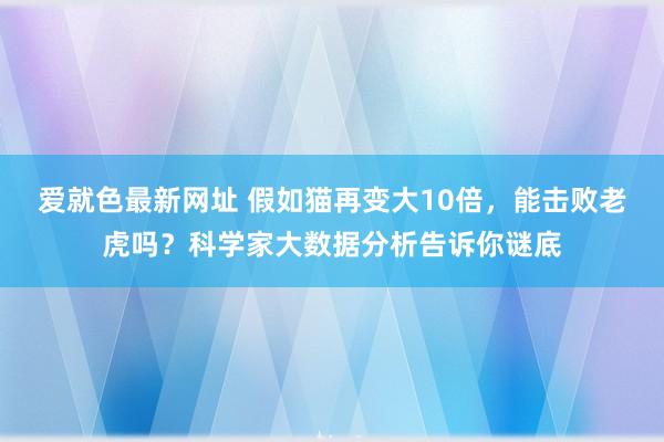 爱就色最新网址 假如猫再变大10倍，能击败老虎吗？科学家大数据分析告诉你谜底