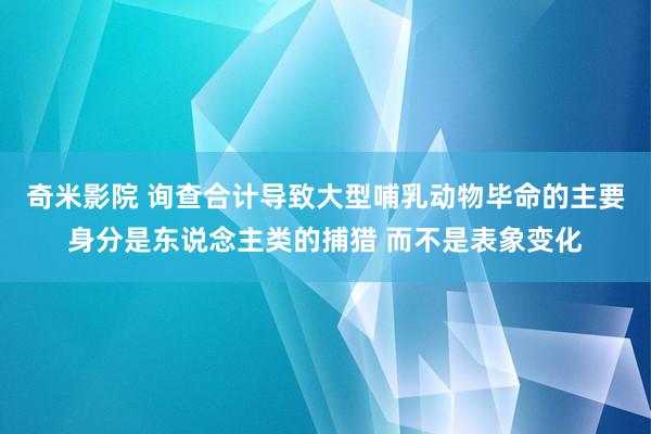 奇米影院 询查合计导致大型哺乳动物毕命的主要身分是东说念主类的捕猎 而不是表象变化