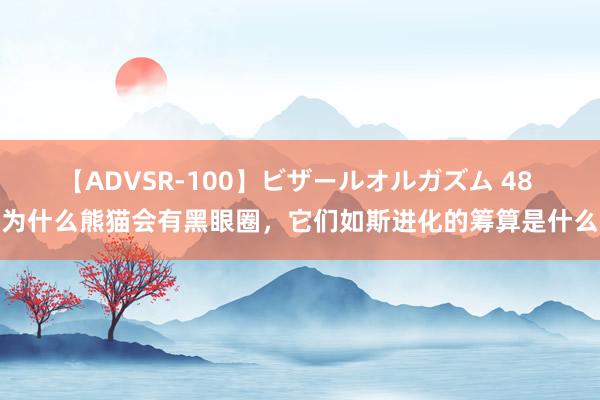 【ADVSR-100】ビザールオルガズム 48 为什么熊猫会有黑眼圈，它们如斯进化的筹算是什么