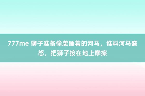 777me 狮子准备偷袭睡着的河马，谁料河马盛怒，把狮子按在地上摩擦