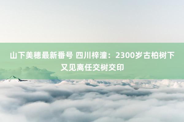 山下美穂最新番号 四川梓潼：2300岁古柏树下又见离任交树交印