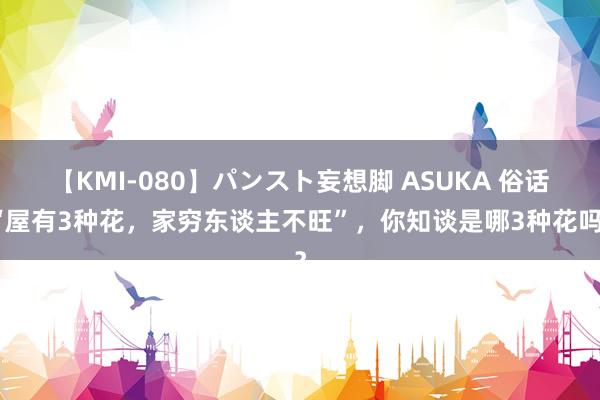 【KMI-080】パンスト妄想脚 ASUKA 俗话“屋有3种花，家穷东谈主不旺”，你知谈是哪3种花吗？