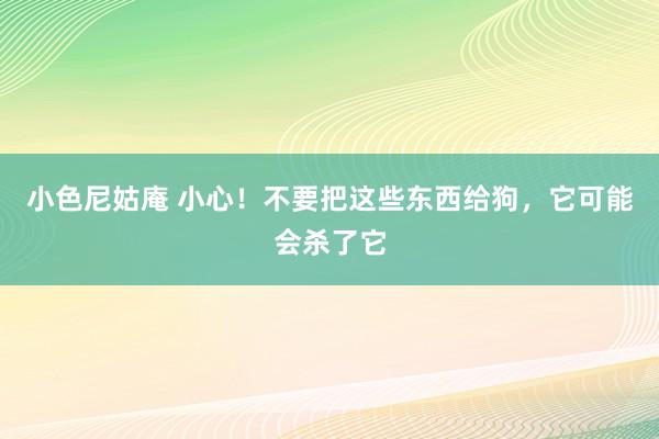 小色尼姑庵 小心！不要把这些东西给狗，它可能会杀了它