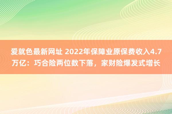 爱就色最新网址 2022年保障业原保费收入4.7万亿：巧合险两位数下落，家财险爆发式增长