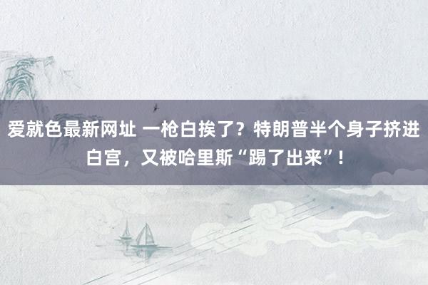 爱就色最新网址 一枪白挨了？特朗普半个身子挤进白宫，又被哈里斯“踢了出来”!