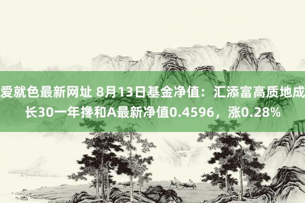 爱就色最新网址 8月13日基金净值：汇添富高质地成长30一年搀和A最新净值0.4596，涨0.28%