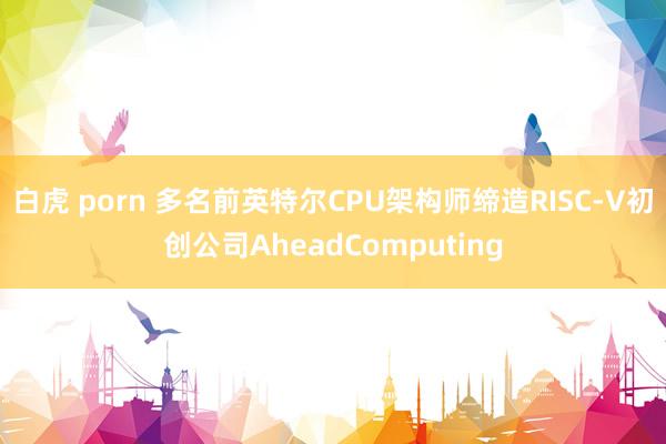 白虎 porn 多名前英特尔CPU架构师缔造RISC-V初创公司AheadComputing