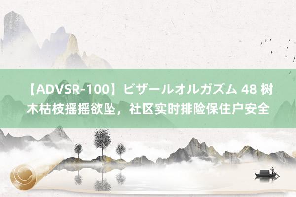 【ADVSR-100】ビザールオルガズム 48 树木枯枝摇摇欲坠，社区实时排险保住户安全