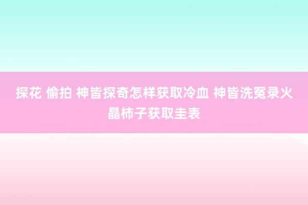 探花 偷拍 神皆探奇怎样获取冷血 神皆洗冤录火晶柿子获取圭表